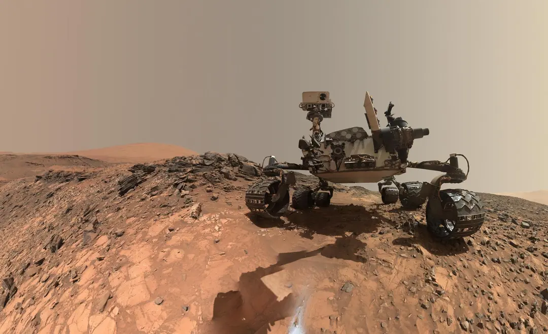 Curiosity at Buckskin